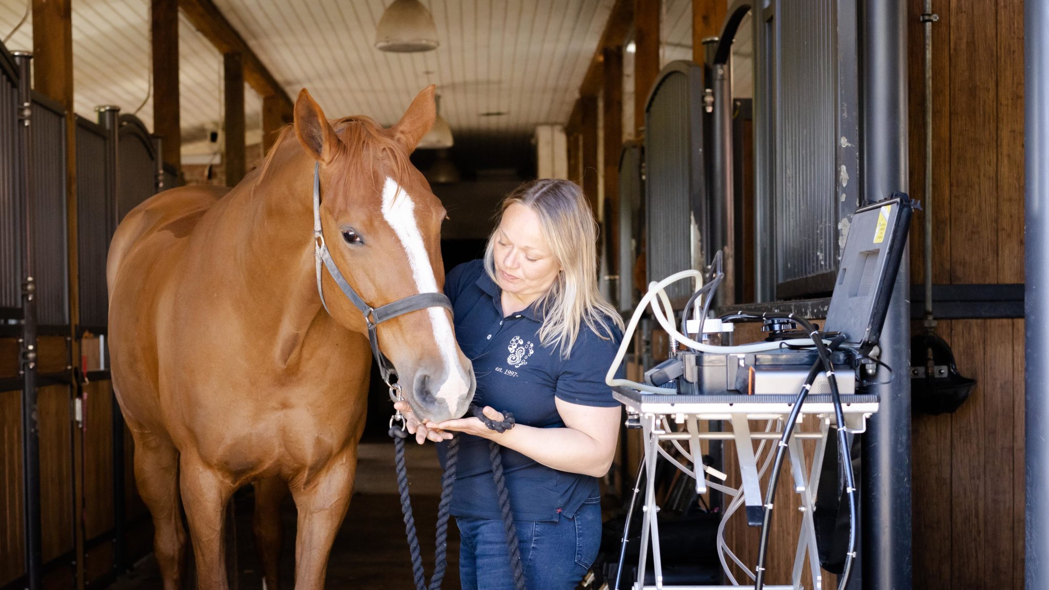 Mahan tähystys WHG Equine Sport Performance